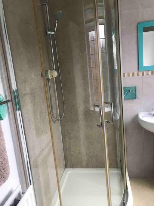 Brook Lodge Garden Flat Суонидж Экстерьер фото